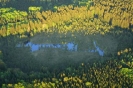 Storchenflug