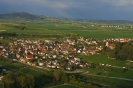 Storchenflug
